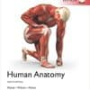 human anatomy 8th edition paperback