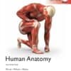 human anatomy 8e global