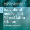 Transnational, European, and National Labour Relations: Flexicurity and New Economy - eBook