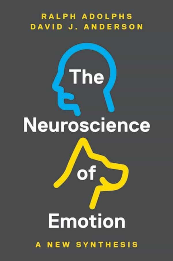 The Neuroscience of Emotion: A New Synthesis - eBook