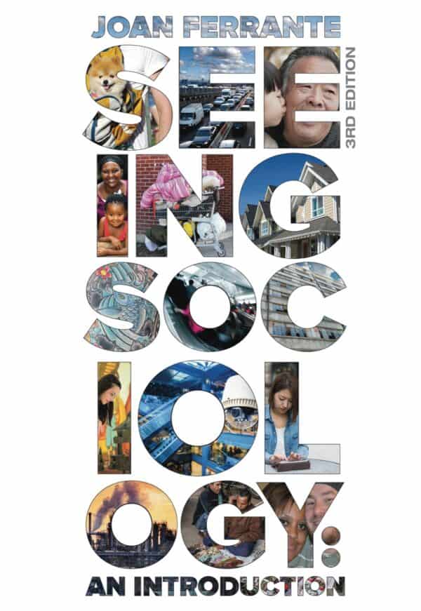 Seeing Sociology: An Introduction (3rd Edition) - eBook