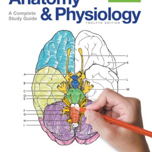 Anatomy and Physiology Coloring Workbook: A Complete Study Guide (12th ...