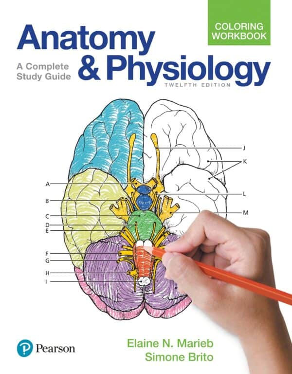 Anatomy and Physiology Coloring Workbook: A Complete Study Guide (12th Edition) - eBook