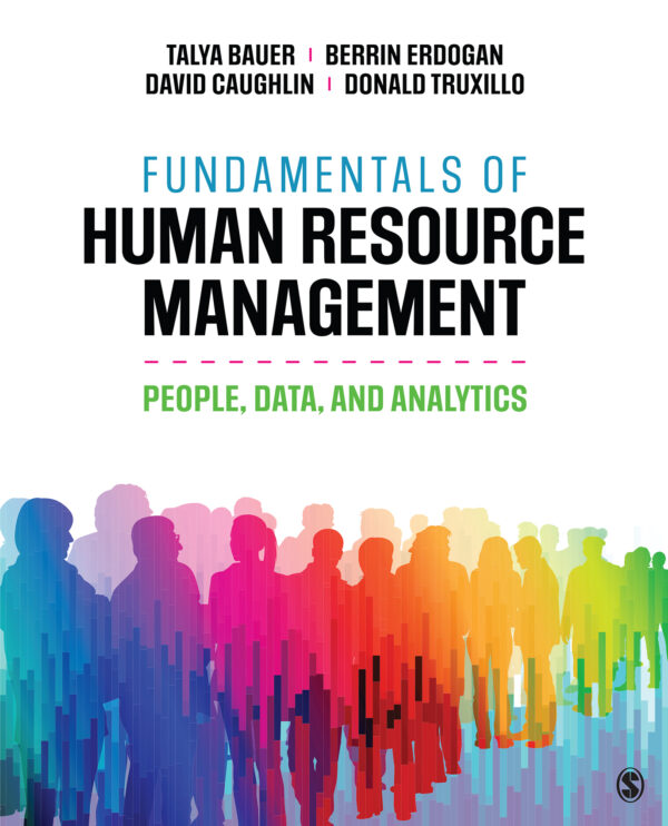 Fundamentals of Human Resource Management: People, Data and Analytics - eBook