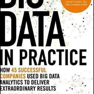 Big Data In Practice How 45 Successful Companies Used Big Data Analytics To Deliver Extraordinary Results – PDF ebook