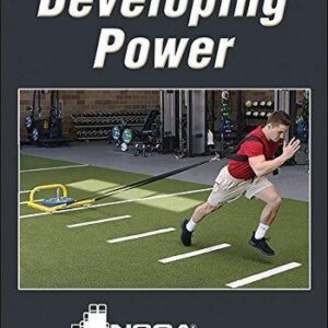 Developing Power – PDF ebook