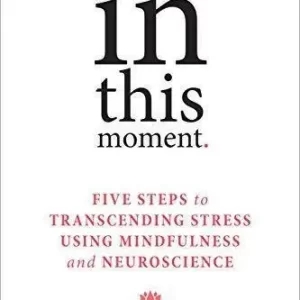 In This Moment Five Steps To Transcending Stress Using Mindfulness And Neuroscience – PDF ebook