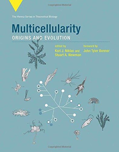 Multicellularity Origins And Evolution – PDF ebook