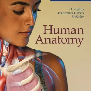 human anatomy 2024