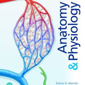 anatomy p 7e
